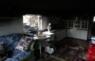 Yaşlı kadın oğlunun fotoğrafı ve kuşları kurtarmak...