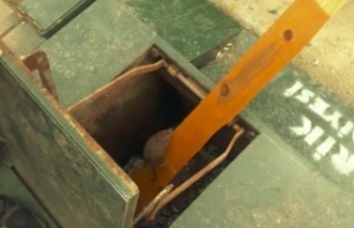 Yeraltı çöp konteynerinde mahsur kalan fare için...