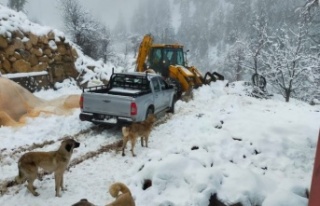 Antalya Valiliği’nden Alanya yaylalarına uyarı