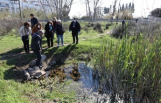 Antalya’da müsilaj tehlikesine karşı saha çalışması
