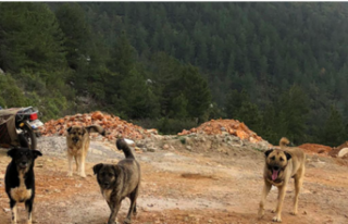 Bademağacı'nda vatandaşlar isyan etti!