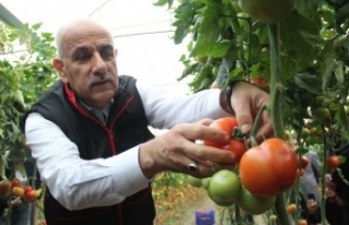 Bakan Kirişci, Antalya'da sarı çizme giyip...