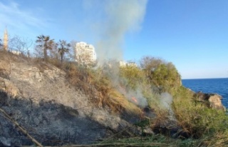Falezlerde kargılık alandaki yangın korkuttu