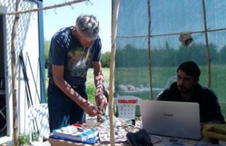 Hollandalı kuş bilimciler Antalya'da gönüllü...