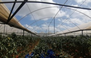 Hortum seraları vurdu