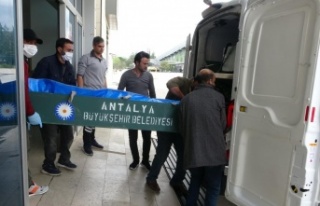 Irmakta cesedi bulunan üniversite öğrencisinin...