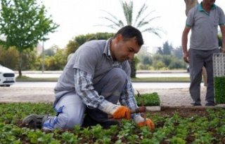 Konyaaltı çiçeklerle süsleniyor