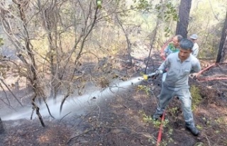 Orman yangını büyümeden söndürüldü