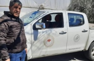 Uçamayıp yoluna kaybeden ‘Bahri Kuşu'na...