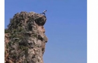 30 metrelik falezlerden canını hiçe sayarak denize...