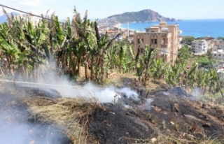 Alanya'da boş arazide çıkan yangın muz bahçesine...