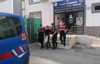 Alanya'da çocuğa cinsel istismar ve hırsızlık...