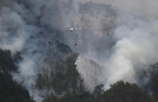 Alanya'da dün başlayan yangın bugün kontrol...