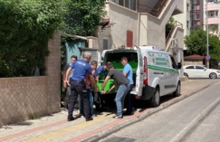 Alanya'da Ukraynalı babanın cinneti