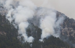 Alanya'daki yangına helikopter, 200 işçi ve...