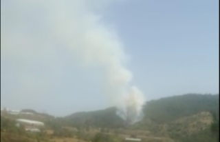 Alanya ve Gazipaşa sınırında korkutan yangın