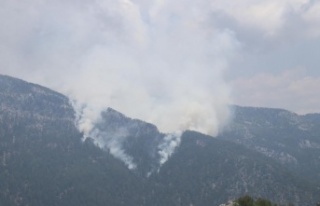 Alanya’da orman yangını
