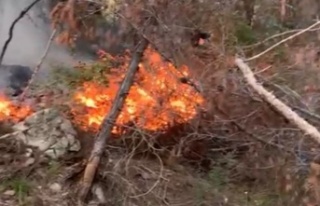 Alanya’da orman yangını