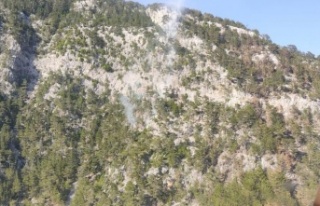 Alanya’da orman yangını