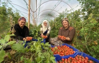 ATB Nisan ayı hal endeksini açıkladı