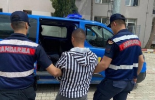 Evden hırsızlık şüphelisi tutuklandı