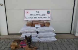 Gazipaşa'da yolcu otobüsünde 210 kilogram...