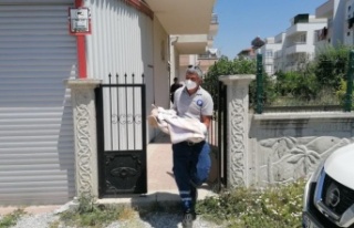 Komşuda korkunç olay