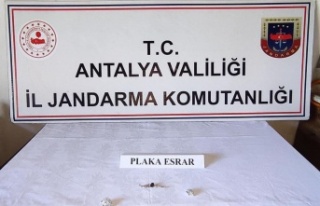 Kontrol noktasında durdurulan yolcu otobüsünde...