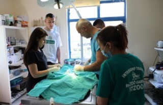 Makedon öğrenciler Antalya Hayvanat Bahçesi’nde...