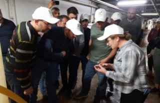 Mantar üreticilerine ışıklı tuzak, dezenfektan...