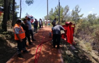 Ormanlık alanda çıkan yangın büyümeden söndürüldü