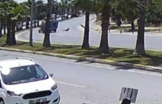 Seyir halindeki tüp kamyonetinin önüne atladı