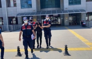 Yabancı uyruklu kadınlara zorla fuhuş yaptıran...