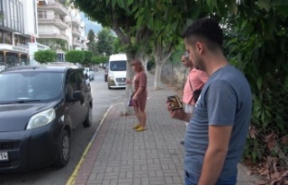 Alanya'da aracın kaputuna giren kediyi, kedi...