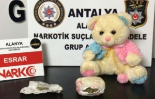 Alanya'da ayıdan uyuşturucu çıktı
