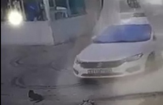 Alanya'da otomobilini kedilerin üzerine sürüp,...