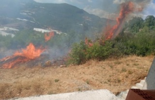 Alanya'da tarım arazisinde başlayan yangında...