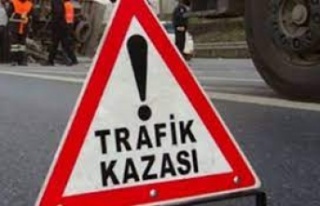 Alanya’da freni boşalan otomobil ağaçlık alana...