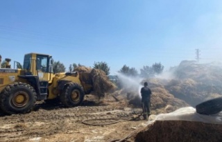 Besihanede 3 bin ot balyası yandı