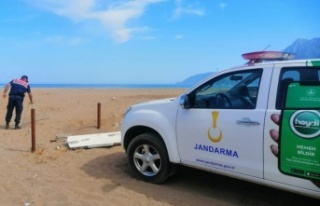 Carettaların yuvalama alanına araçla girdi