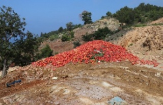 Gazipaşa'da çöpe dökülen sebze açıklaması:...