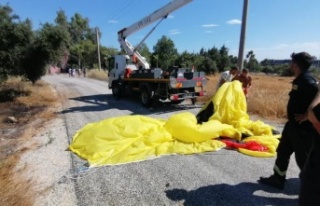 Havada paniği yaşayan Alman uyruklu kadınlar: “Biraz...