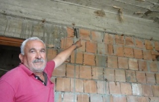 İnşaattaki kuş yuvasından beyaz kırlangıç çıktı,...