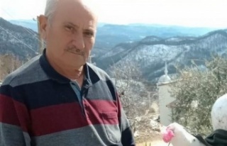 Kesilen ağacın altında kalan eski muhtar hayatını...