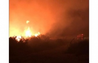 Makilik yangını 2 saatte kontrol altına alındı