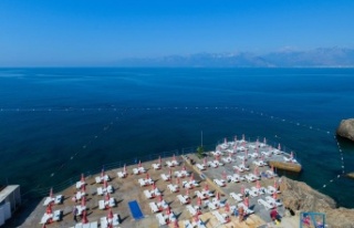 Mavi bayraklı plajlar için özel yazılım