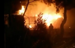 Müstakil ev çıkan yangında alev topuna döndü