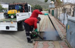 Sineksiz yaz için yoğun mücadele