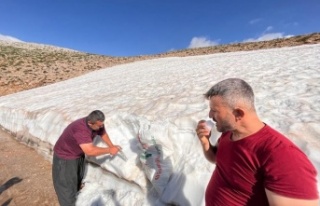 Toroslardan çuval çuval taşınan kar, deniz seviyesinde...