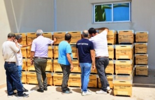 Yangınzede üreticilere arı kovanı desteği